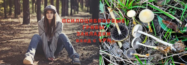 мдпв Арсеньев