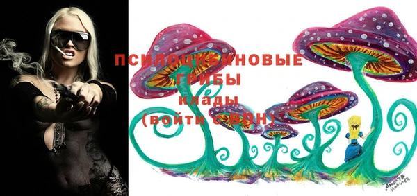 мдпв Арсеньев
