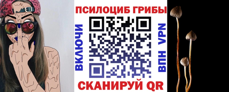 Галлюциногенные грибы Magic Shrooms  Купить  Суджа 