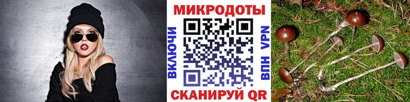 Галлюциногенные грибы мухоморы Суджа